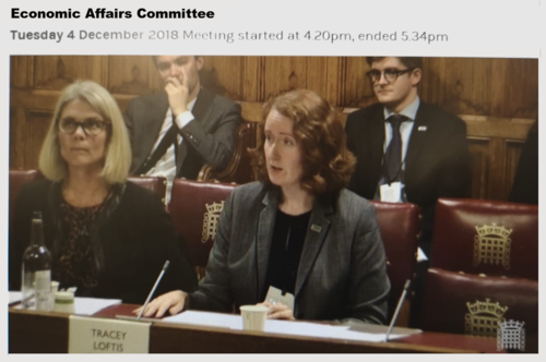 Versus Arthritis gives evidence to a Lords Committee about the social care needs of people with arthritis