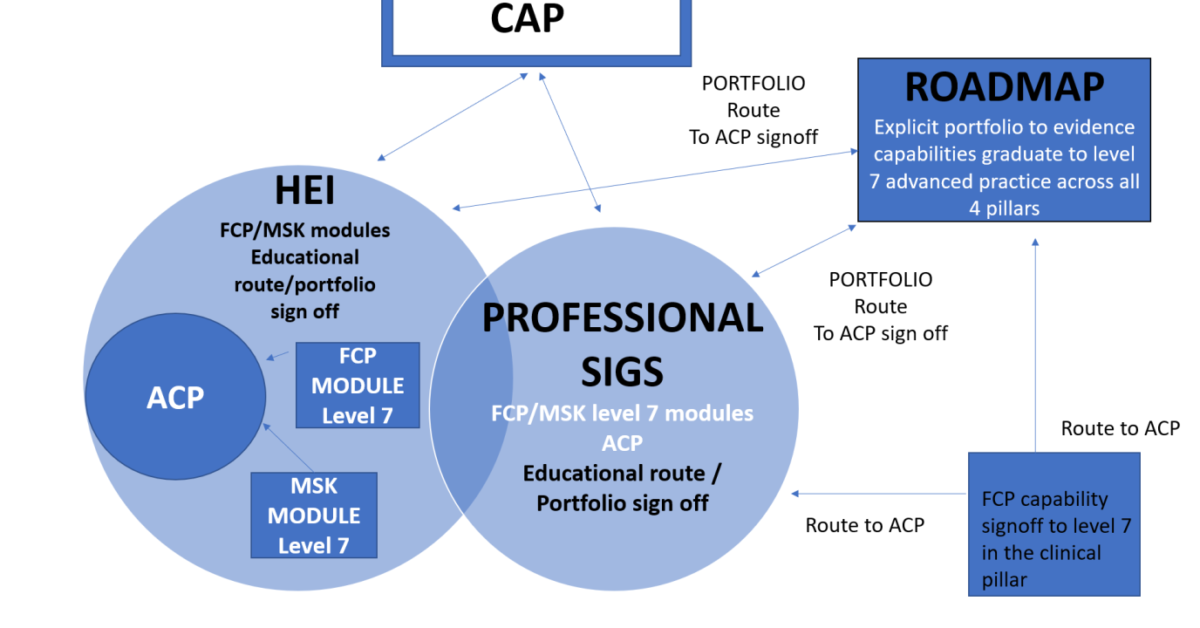 Guest Blog Msk First Contact Practitioner Roles