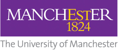University of Manchester pain research