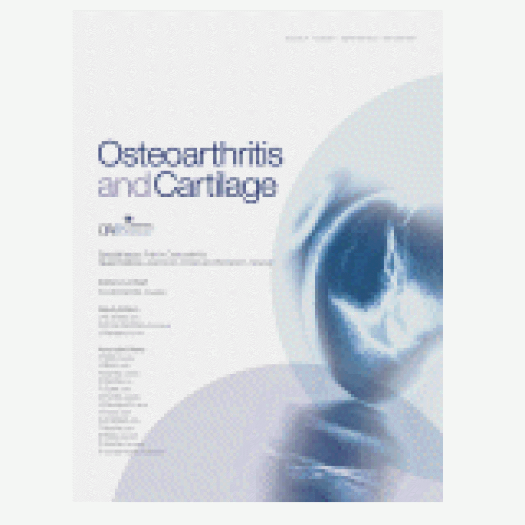 osteo-cartilage-article