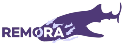remora-shark