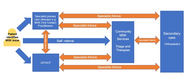 Musculoskeletal orthopaedic approach to referral optimisation